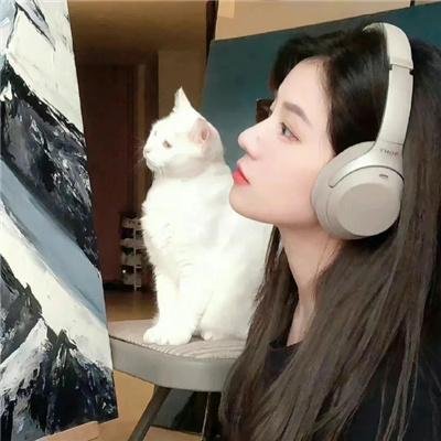 无声的世界